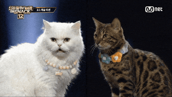 Show Me The Snack GIF