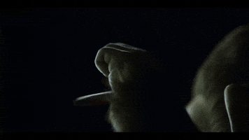 Stephenking GIF
