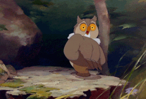 owl think GIF