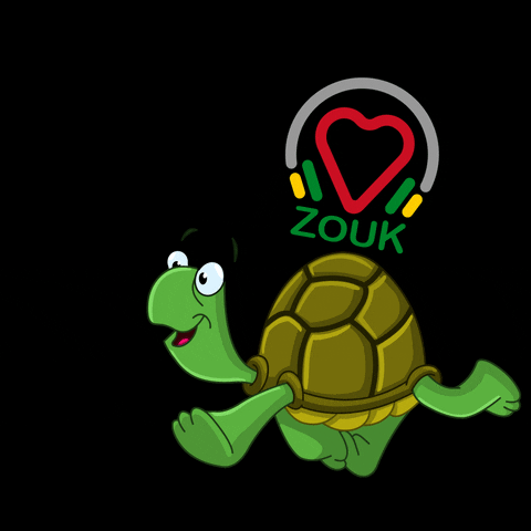 Turtle GIF by I Heart Zouk Radio