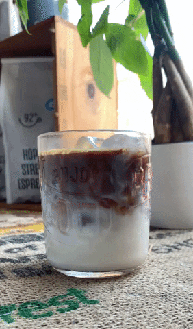 Coffee Refreshing GIF by 92 Degrees