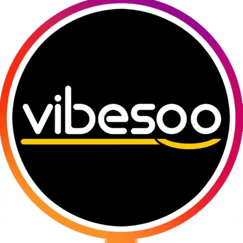 GIF by Vibesoo