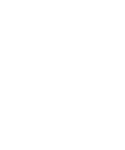 Bird Sticker