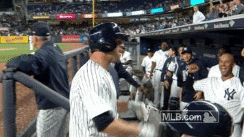 New York Yankees Celebration GIF by MLB