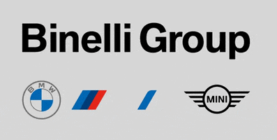 Binelli Group GIF