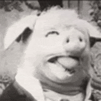 200w.gif#1