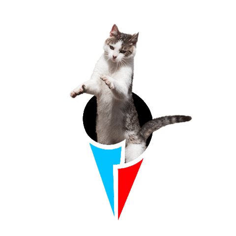 Digital Marketing Cat Sticker by Astralón