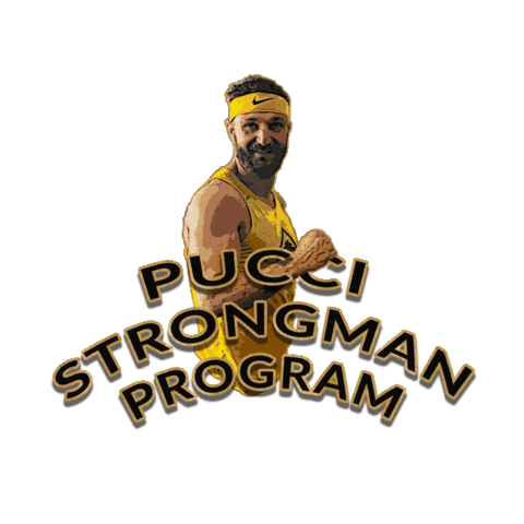 Puccistrong Sticker by CrossFit ANT
