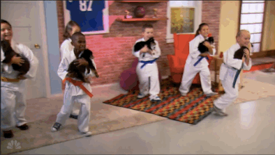johnny karate