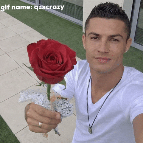 Ronaldo Cristiano GIF