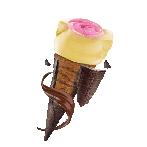 Leone ice cream Sticker