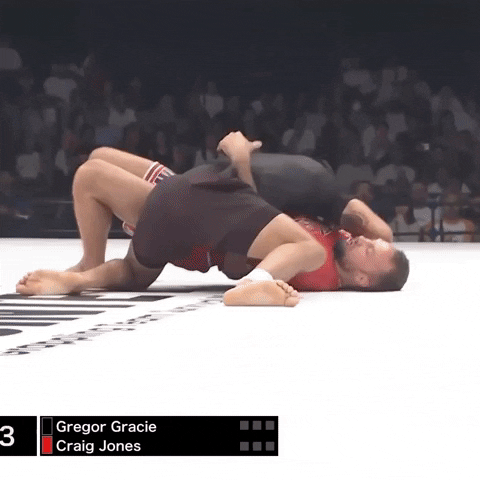 Bjj GIF