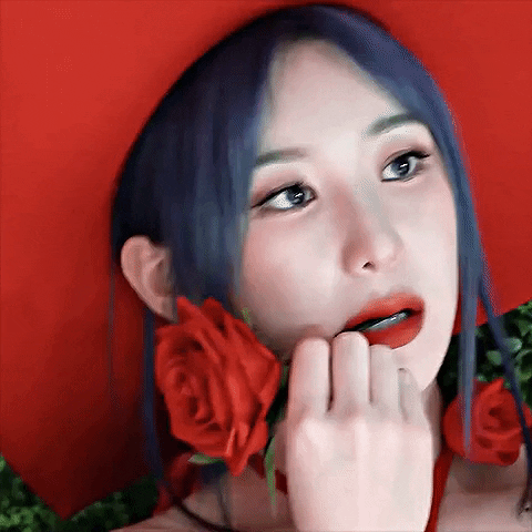 K Pop Flower GIF