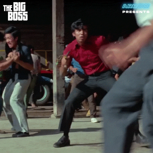 Settle Down Martial Arts GIF by Arrow Video