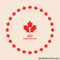 Independence Day Love GIF by sendwishonline.com
