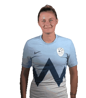 NZS | FA Slovenia Sticker