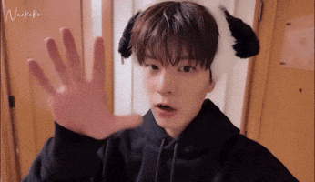 Singer Skz GIF