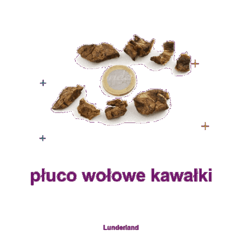 Pies Sticker by Ekome