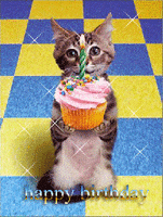 Happy Birthday Cat GIFs - Find & Share on GIPHY