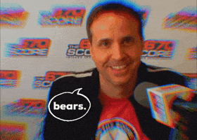 Bears GIF