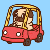 Dog Driving GIF by Puglie Pug
