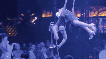 Teatro ZinZanni GIF