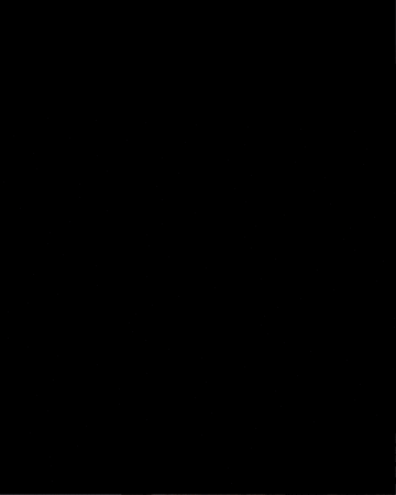 Man With Bear GIF