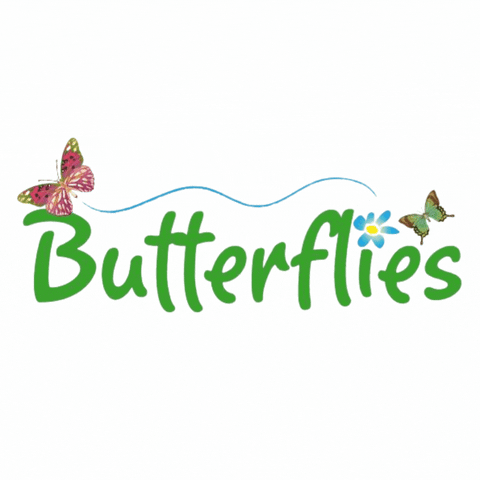 Butterflies Crèche & Montessori GIF
