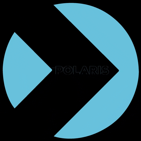 Polaris Engineering srl GIF