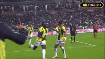 Fenerbahçe GIF by GSPara