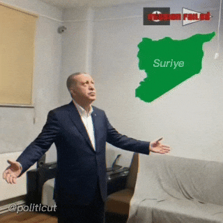 Reis Rte GIF