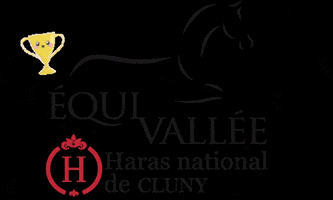 Horse Win GIF by Equivallée - Haras national de Cluny