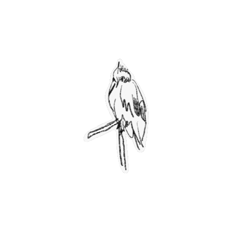 Animal Sticker