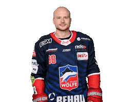 Ice Hockey Sticker by Selber Wölfe