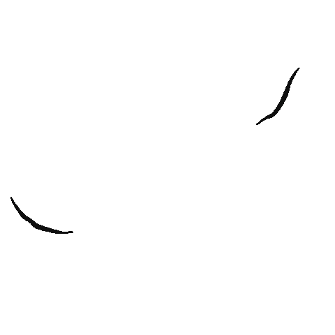 Flor Effects Sticker by Hush Natural