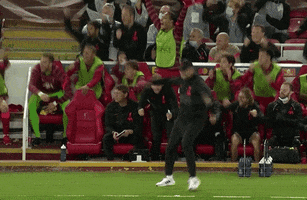 Happy Lets Go GIF by UEFA