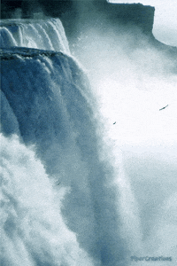 Pipercreations Nature Waterfall Birds Forest Trees Autumn Misty Gif Find Share On Giphy Pipercreations Nature Waterfall Birds Forest Trees Autumn Misty Gif Find Share On Giphy