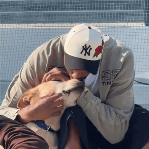 New York Knicks Dog GIF