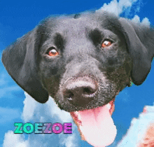 Project Bionic Inc. GIF