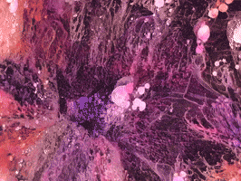 Blood Drugs GIF by The LSD Hotel