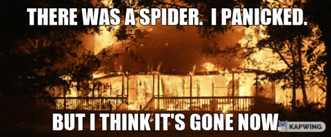 Spider GIF