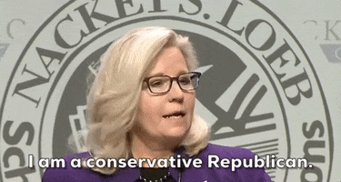 Liz Cheney Republicans GIF by GIPHY News