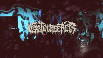 Music Festival Iowa GIF by KNOTFEST