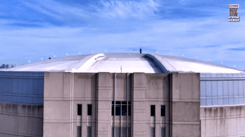Chicago Blackhawks Hockey GIF