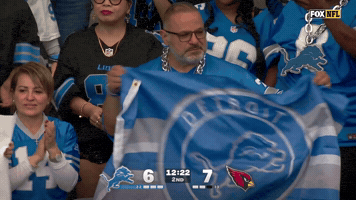 Onepride Lions Fans GIF by Detroit Lions