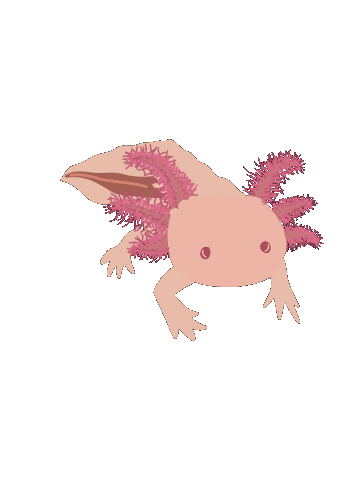 Axolotl Sticker