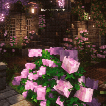 Pink Flowers GIF