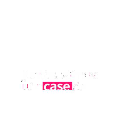 Agência Camaleon Sticker
