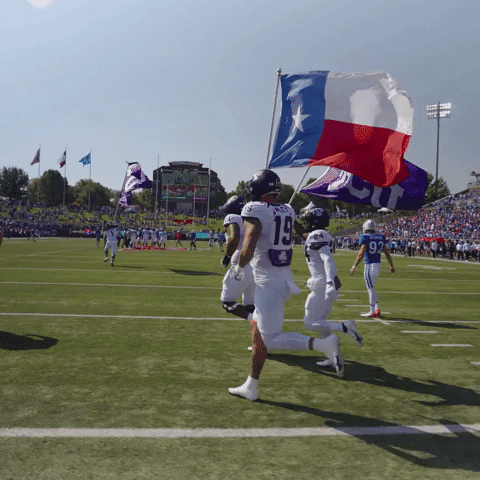 Flag Texas GIF by TCU Football