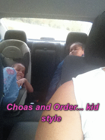 StephJay22 choasandorder GIF